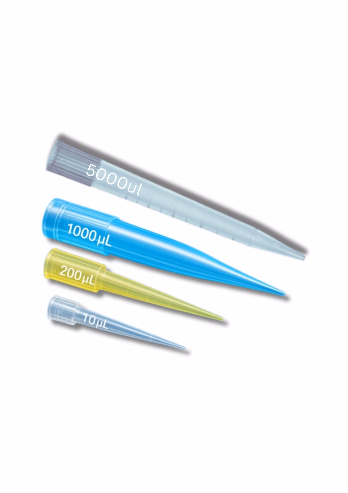Micropipette Tips
